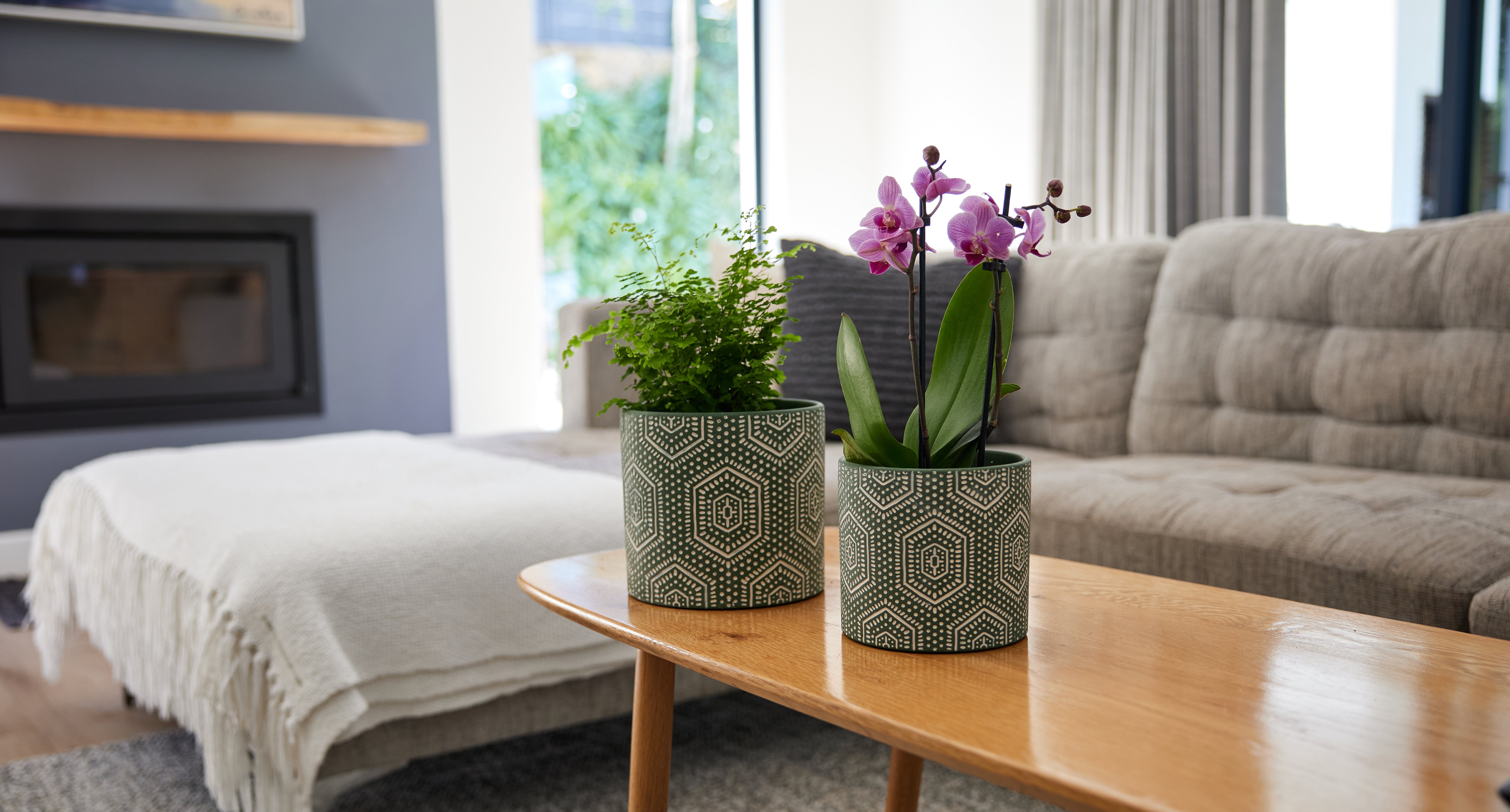 Décor Pots – Price and Sons