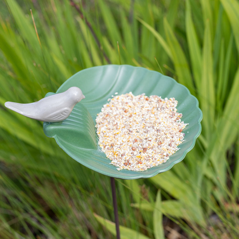 Green Shell Stake Feeder Ø18.5x6cm