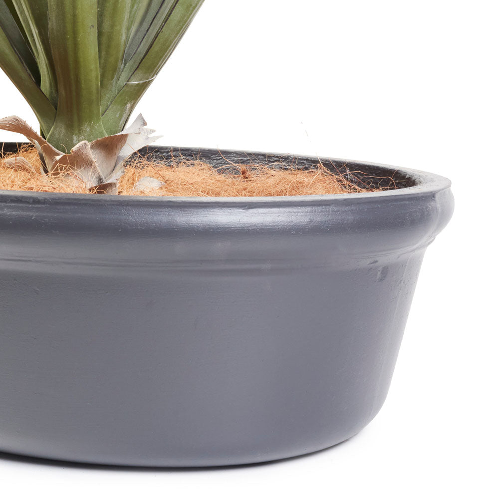 Ava Pot W650*H200