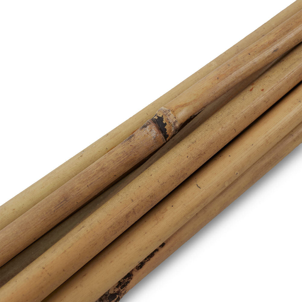 Bamboo Cane 60Cm 6/8Mm (10Pcs)