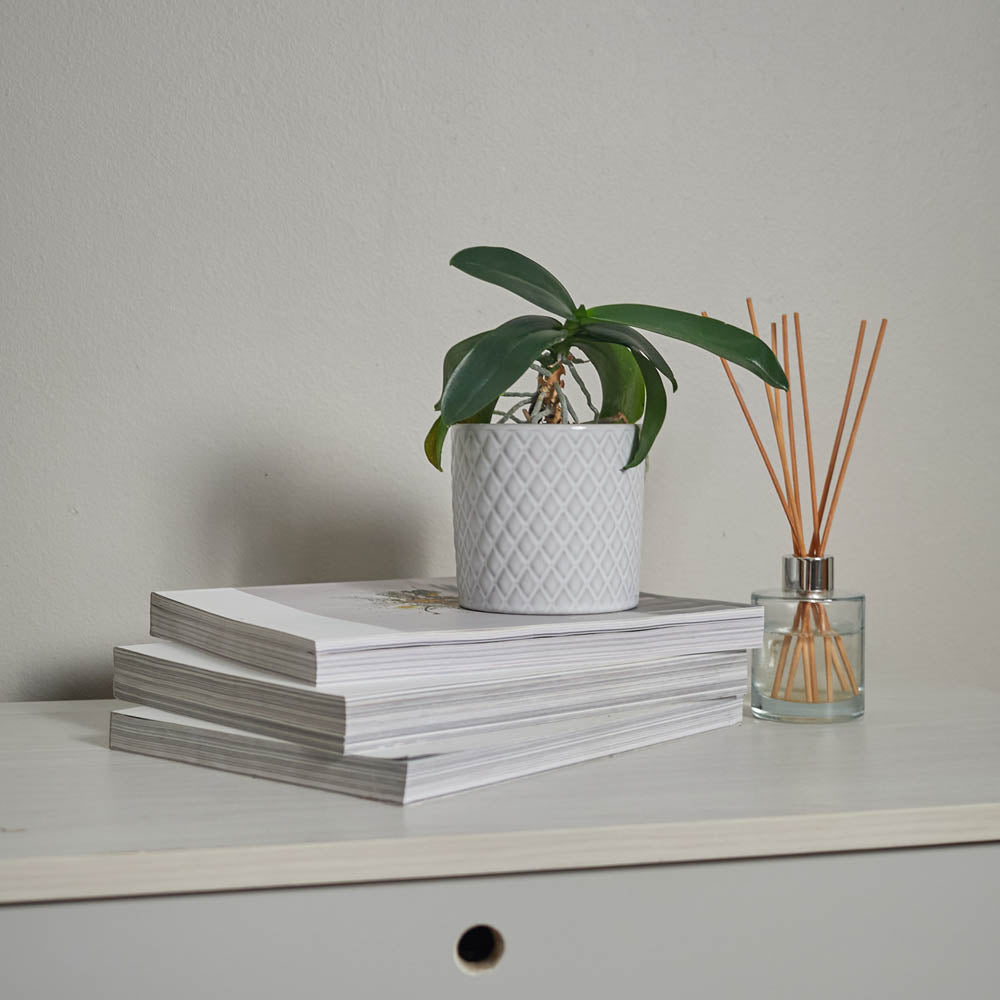 Arabella Ø10 x 10