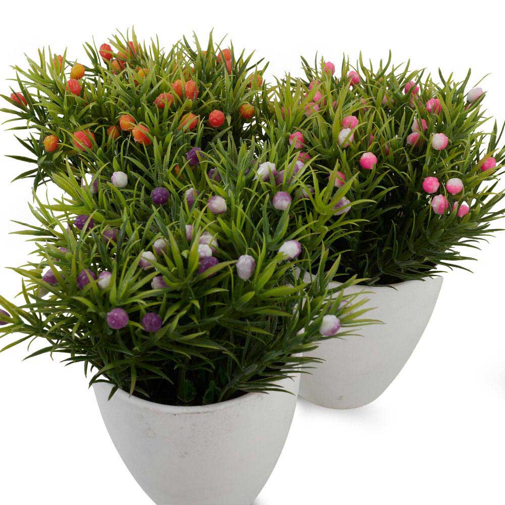 Herbgrass With Fruit Box 27X14X8.5