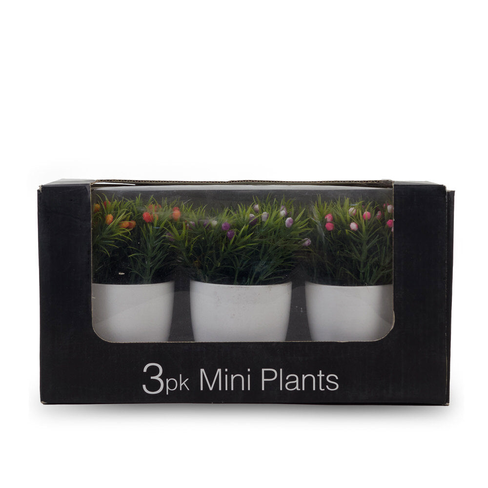 Herbgrass With Fruit Box 27X14X8.5