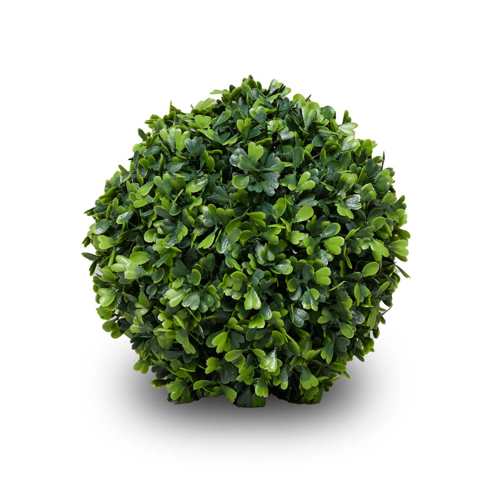 Boxwood 18cm