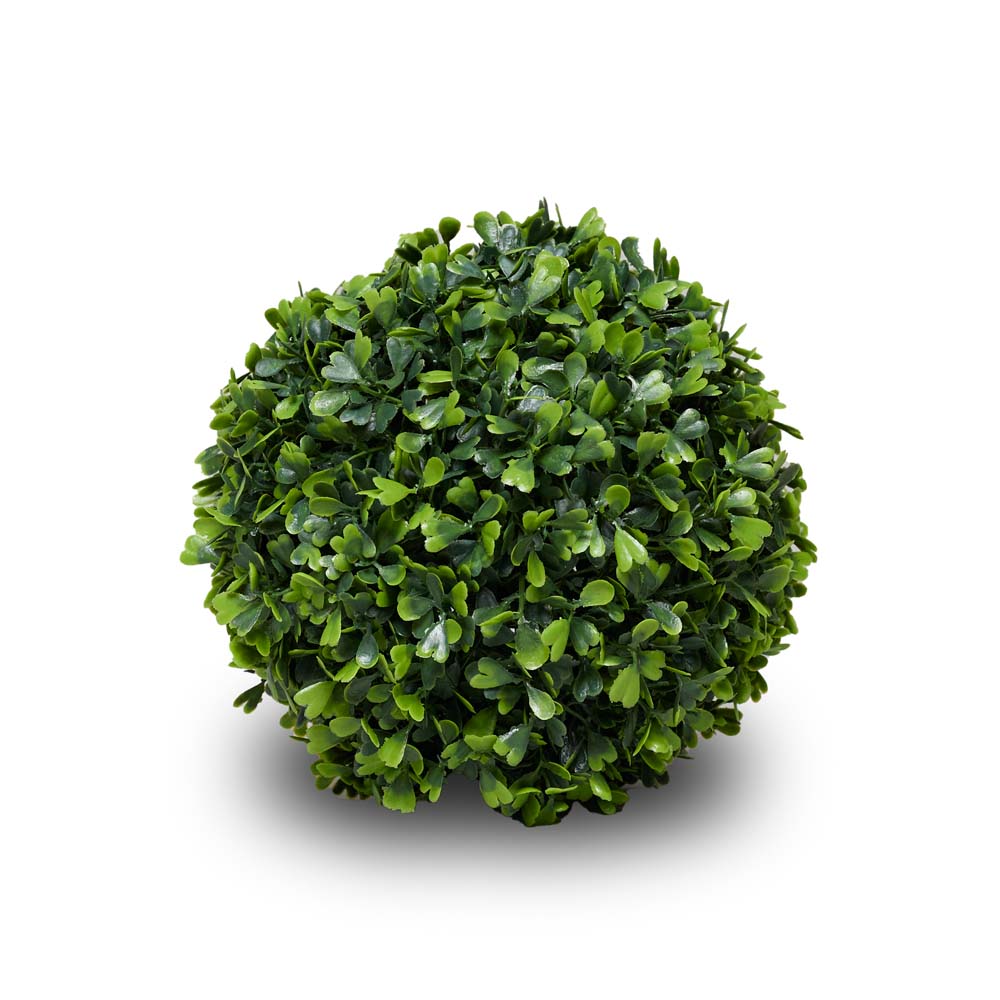 Boxwood 18cm