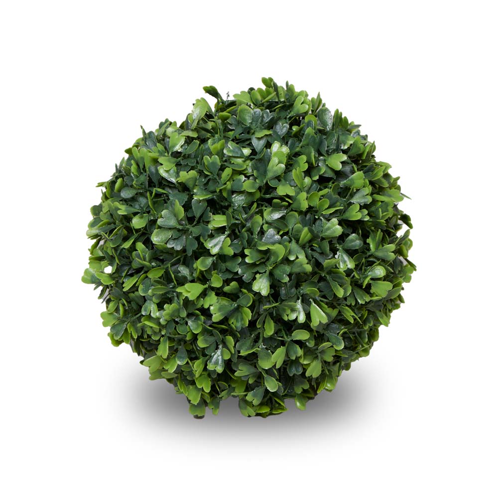 Boxwood 18cm