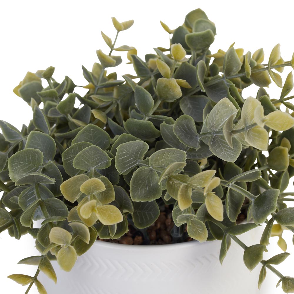 Decorative Greenery in Pot with Wood Stand Ø17x26cm