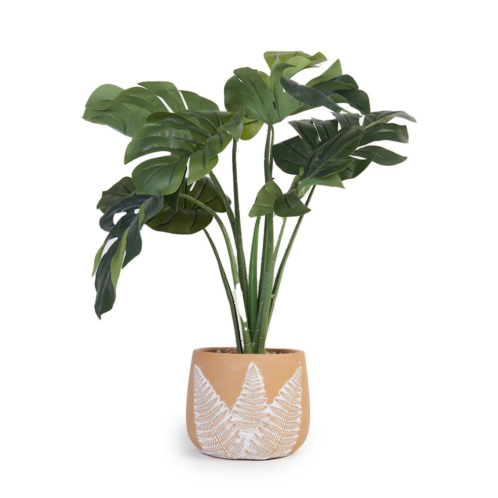 Monstera in Fern pattern Pot Ø43x52cm