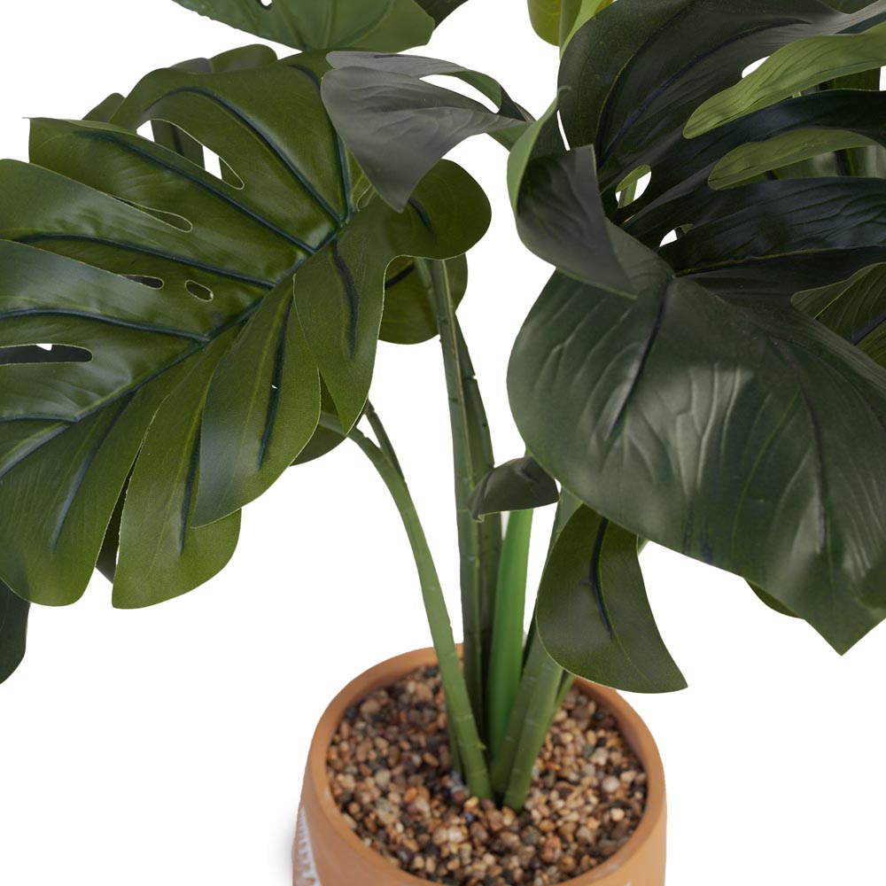 Monstera in Fern pattern Pot Ø43x52cm