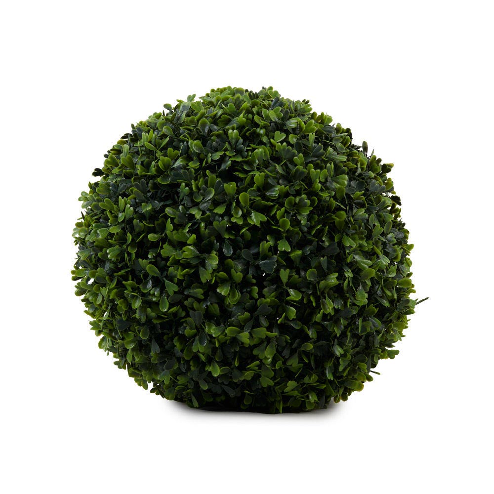 Boxwood 30Cm