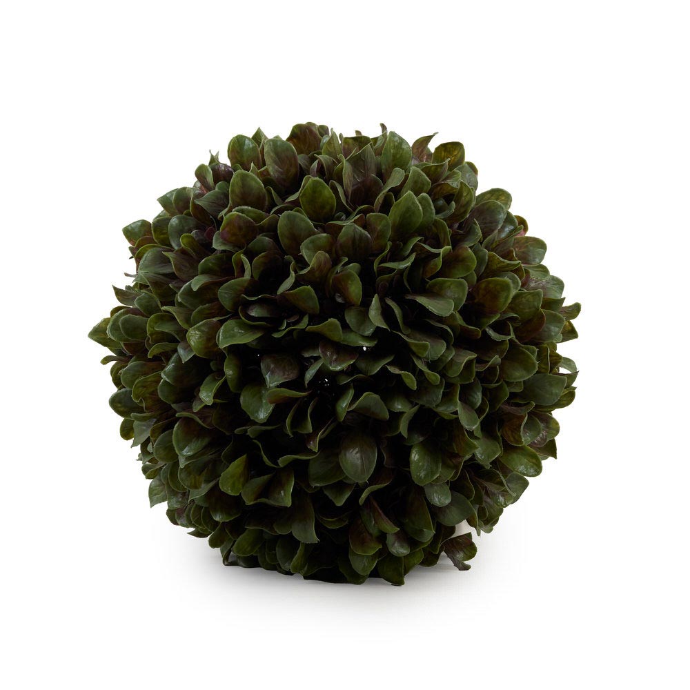 Bright Boxwood 28Cm