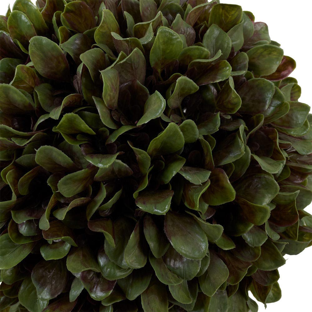 Bright Boxwood 28Cm