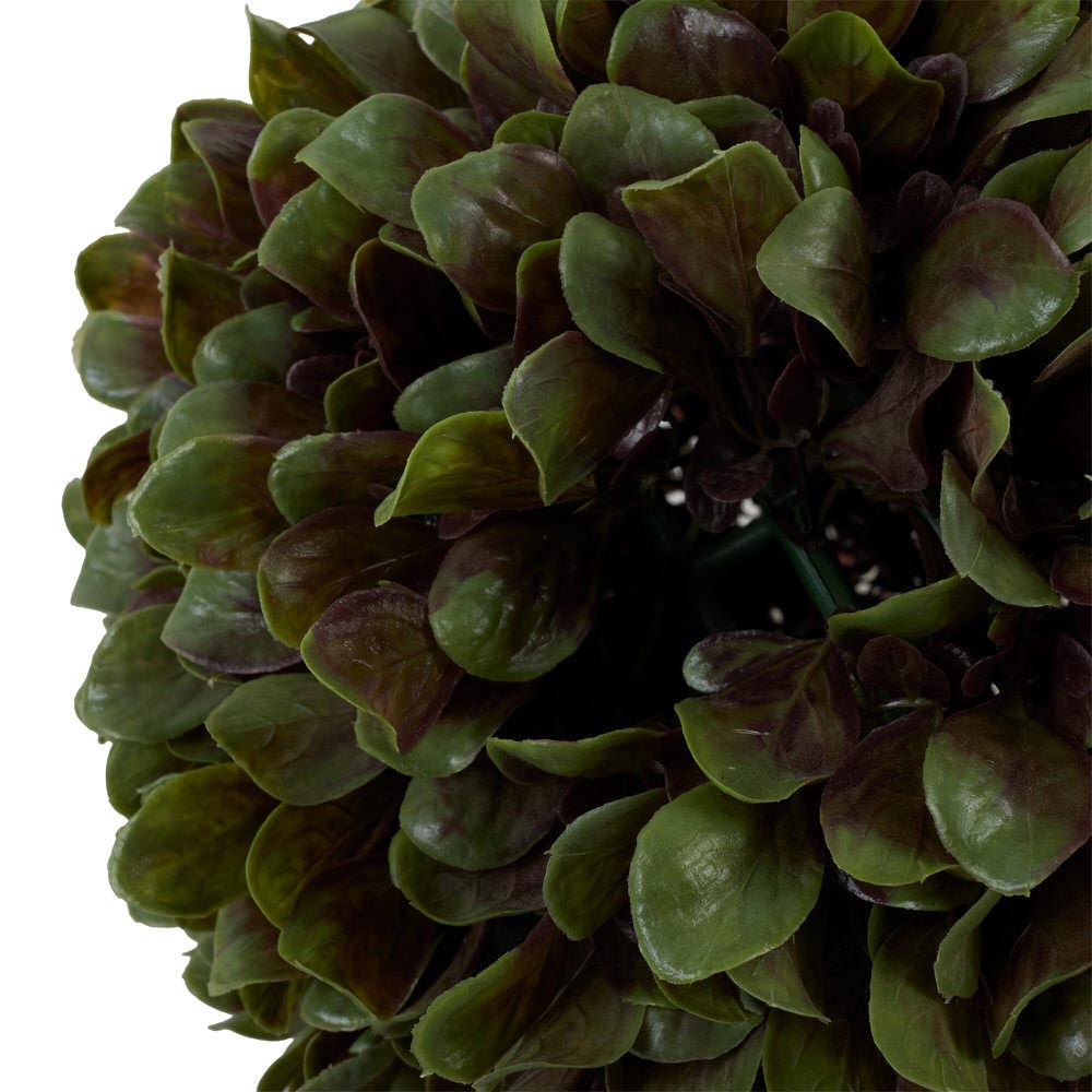 Bright Boxwood 28Cm