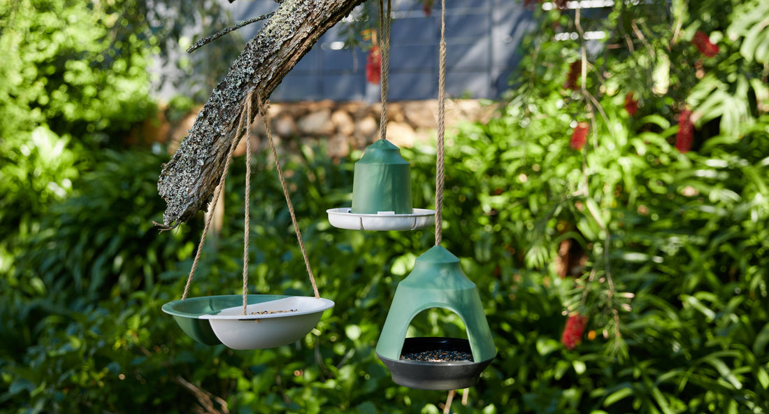 Eco-Friendly Bamboo Bird Feeders | Price & Sons