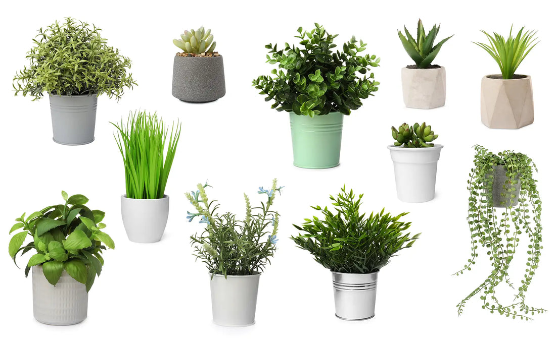 5 Creative Ways to Incorporate Artificial Plants into Your Home