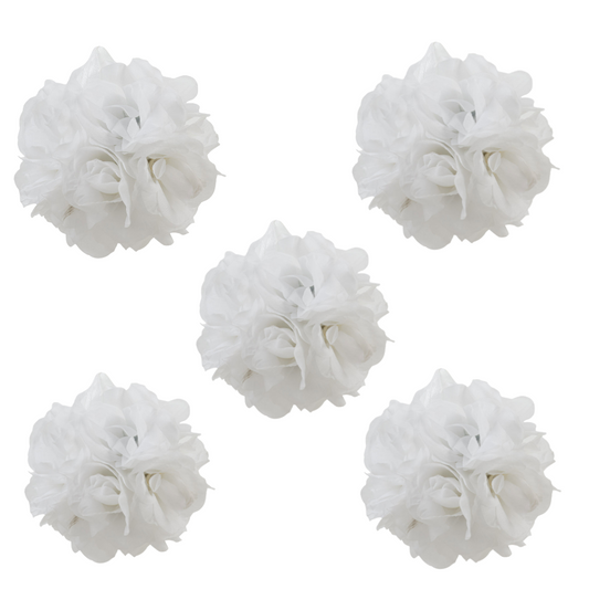 5 PACK Rose Ball White 14Cm