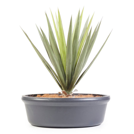Ava Pot W650*H200