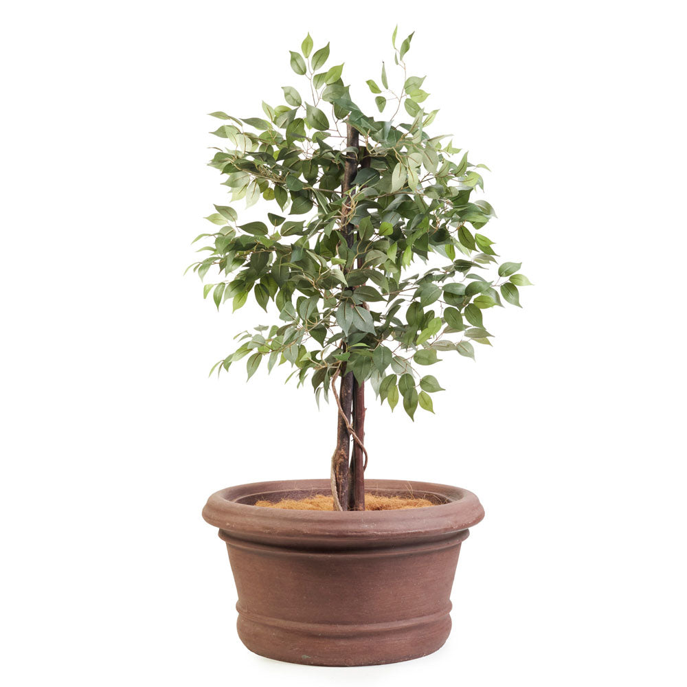 Banquo Pot W680*H360