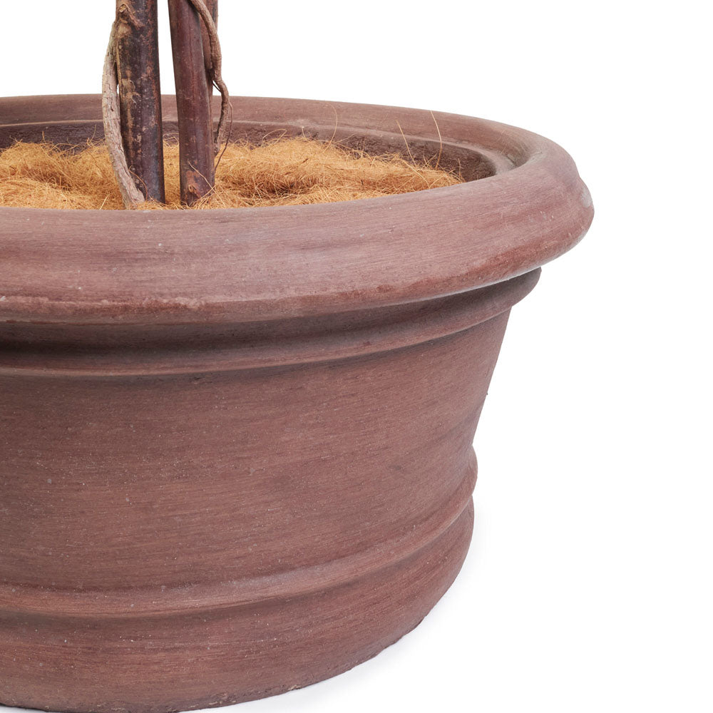 Banquo Pot W680*H360