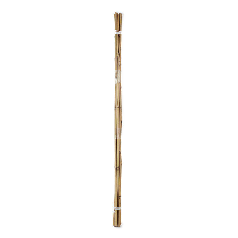 Bamboo Cane 120Cm 10/12Mm (10Pcs)