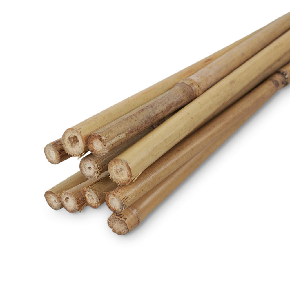 Bamboo Cane 120Cm 10/12Mm (10Pcs)