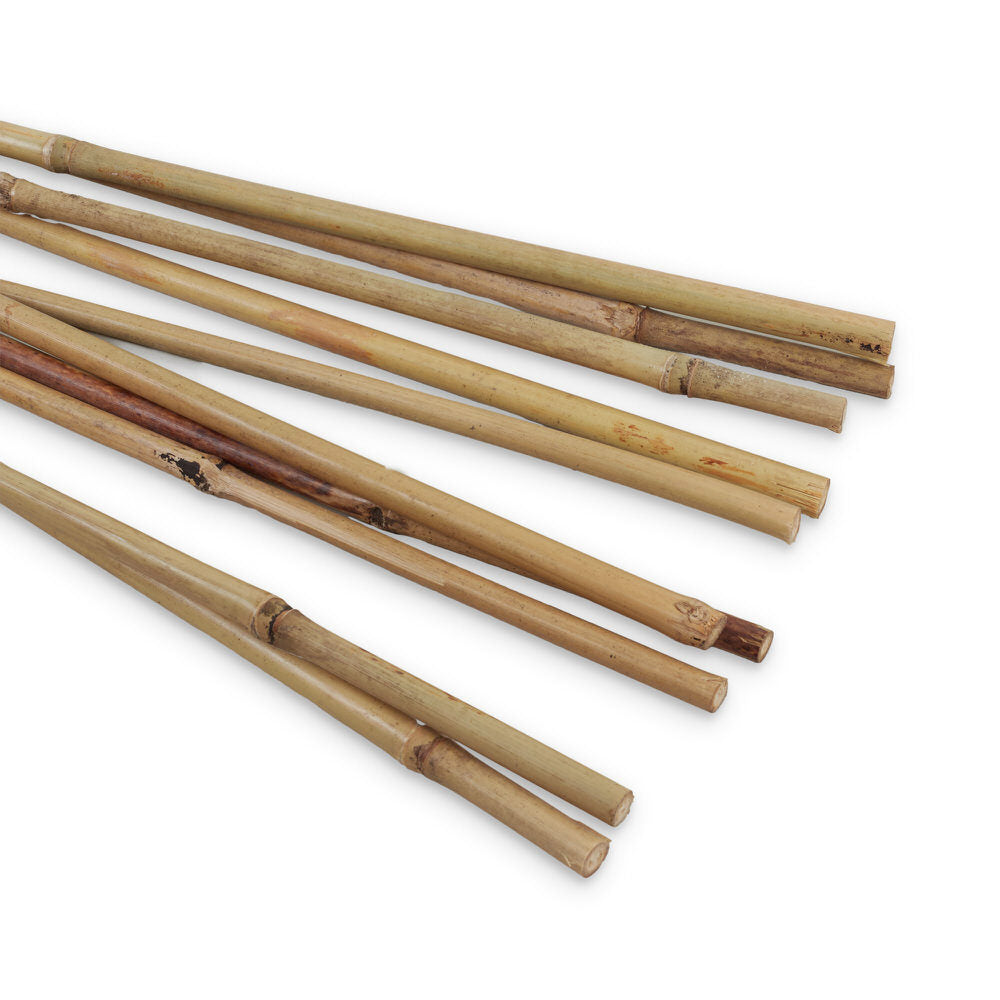 Bamboo Cane 120Cm 10/12Mm (10Pcs)