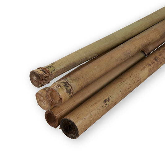 Bamboo Cane 180Cm 14/16Mm (5Pcs)