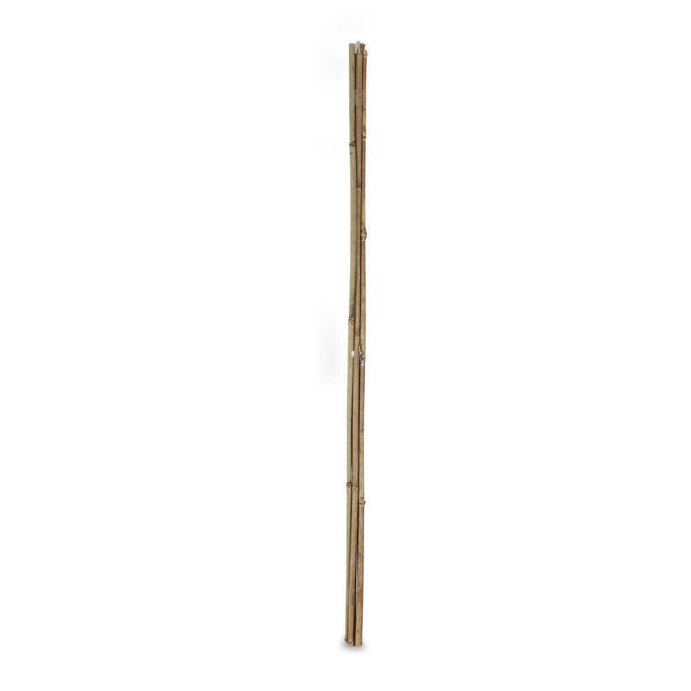 Bamboo Cane 200Cm 14/16Mm (5Pcs)