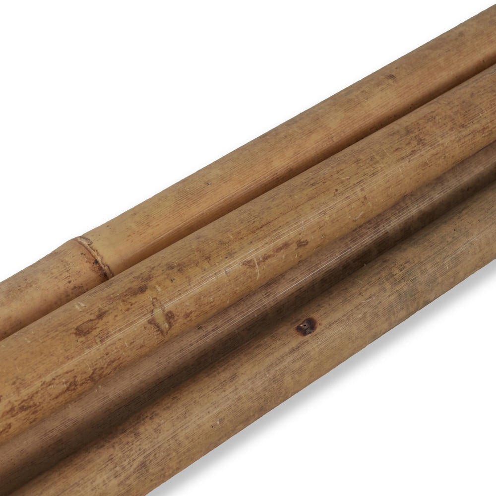 Bamboo Cane 200Cm 14/16Mm (5Pcs)