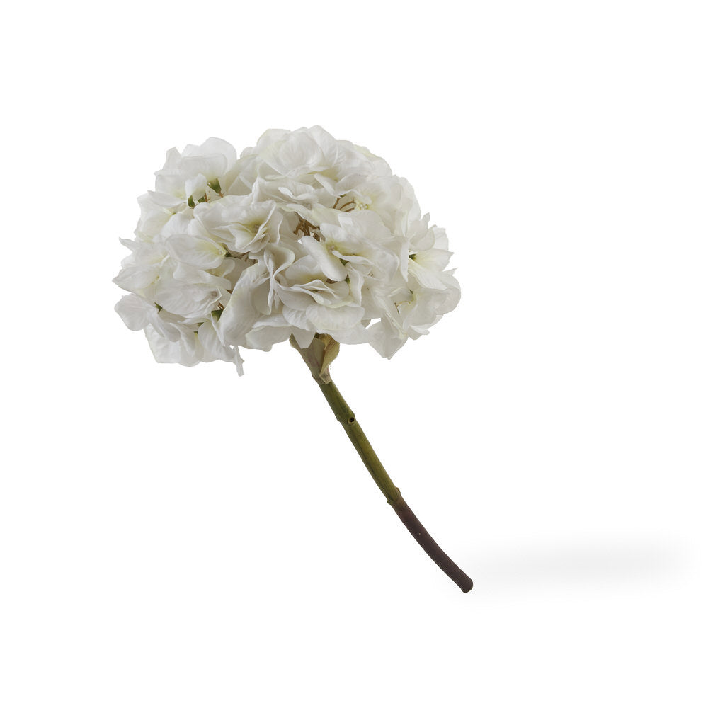 Single Hydrangea White/Cream 51Cm