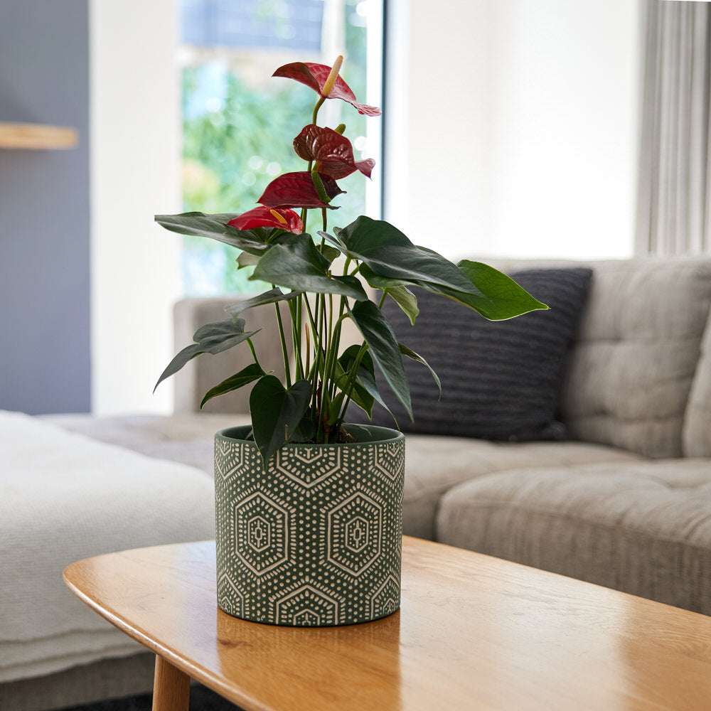 Forest Geo Pot Ø17x15.5cm