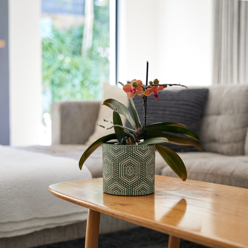 Forest Geo Pot Ø13.5x12.5cm