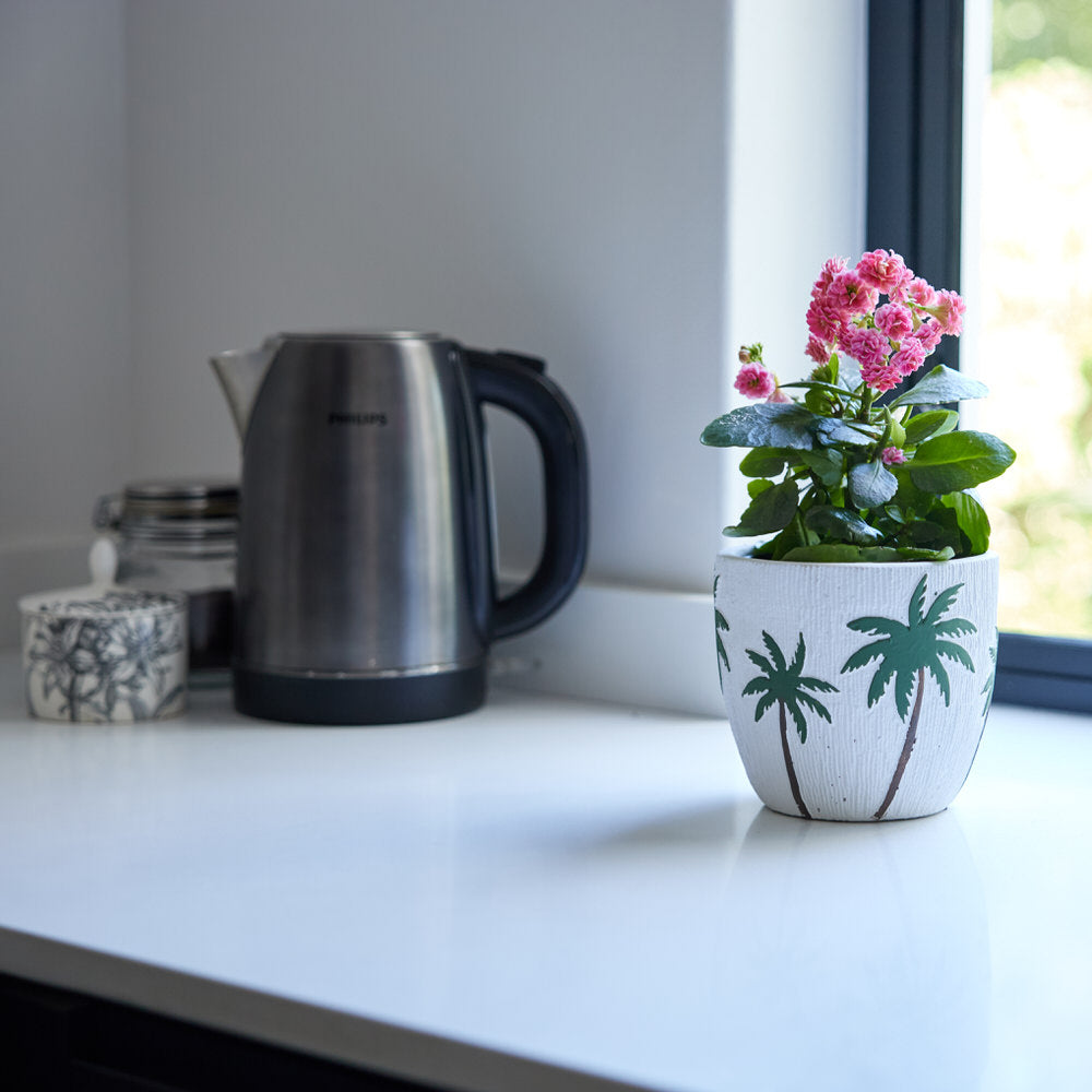 Palm Breeze Planter Ø14x13cm