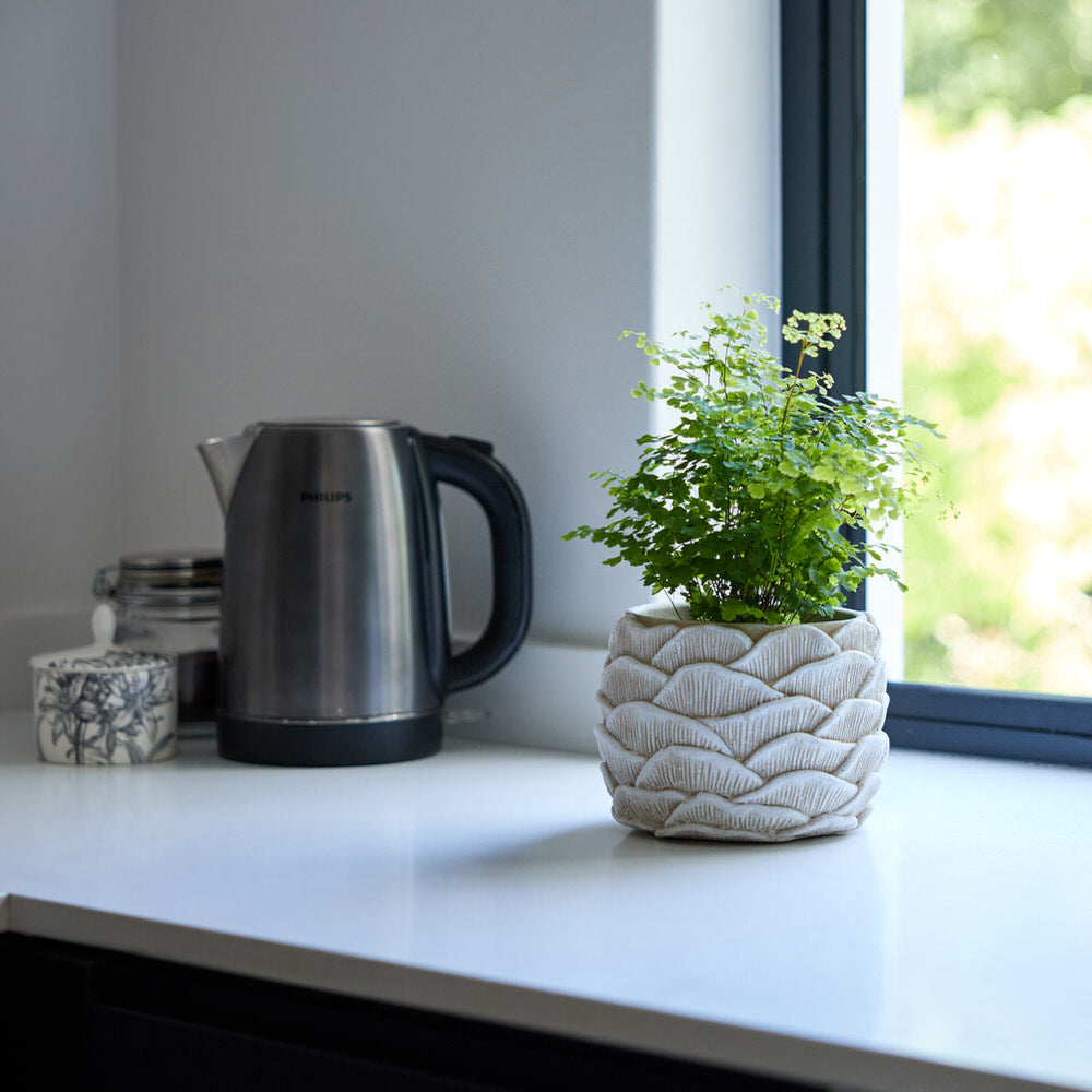 Sandstone Wave Planter Ø16.5x13cm