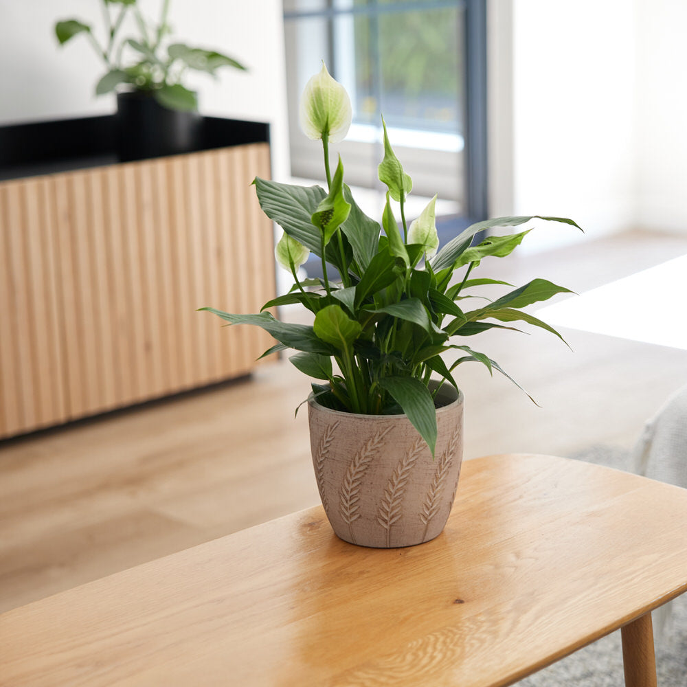 Rustic Leaves Pot Ø17x15cm