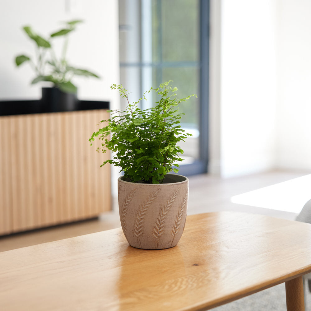 Rustic Leaves Pot Ø13.5x12.5cm