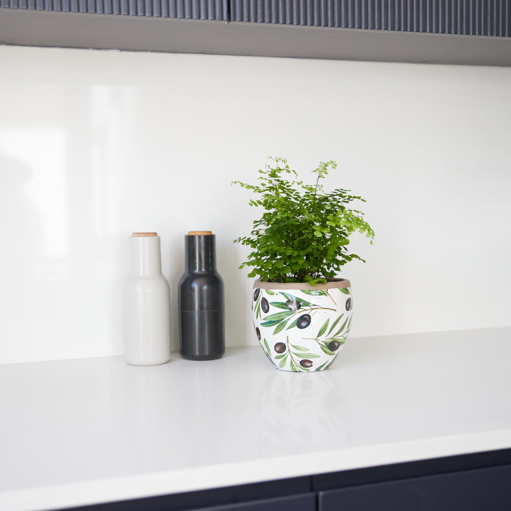 Olive Grove Pot Ø15x13cm