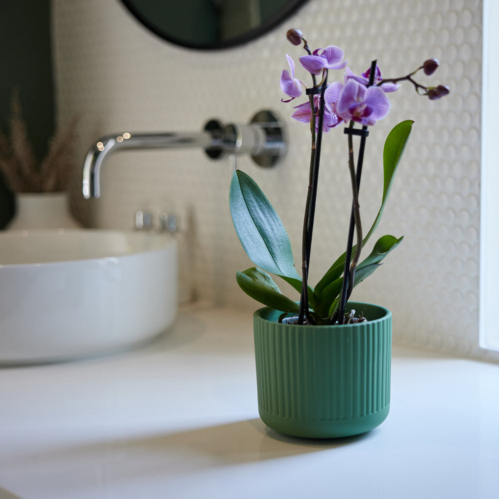 Sage Ridge Pot Ø12x10cm