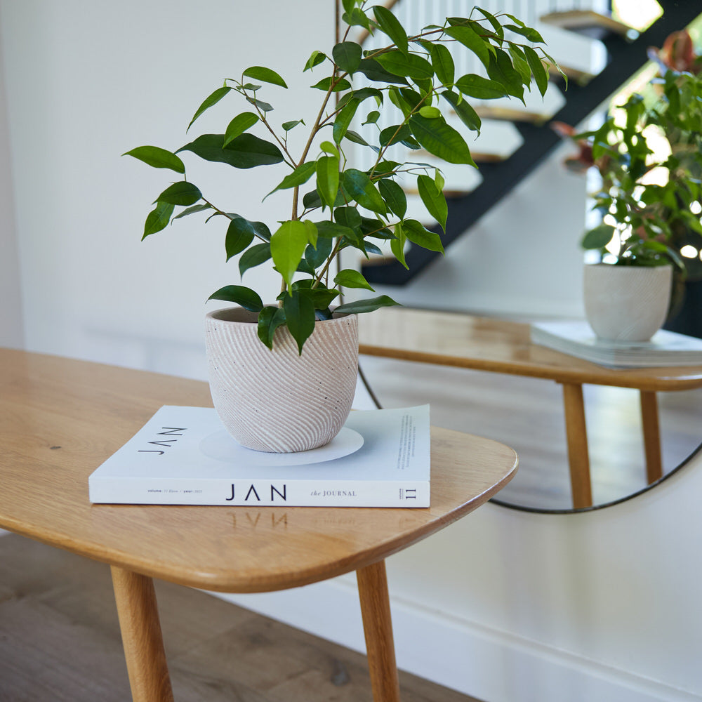 Spiral Dune Pot  Ø14x12cm