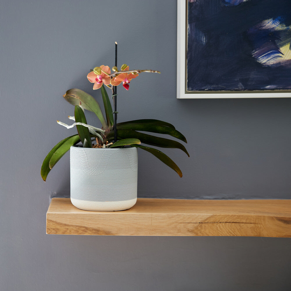 Cloud Fade Pot Ø14x12cm