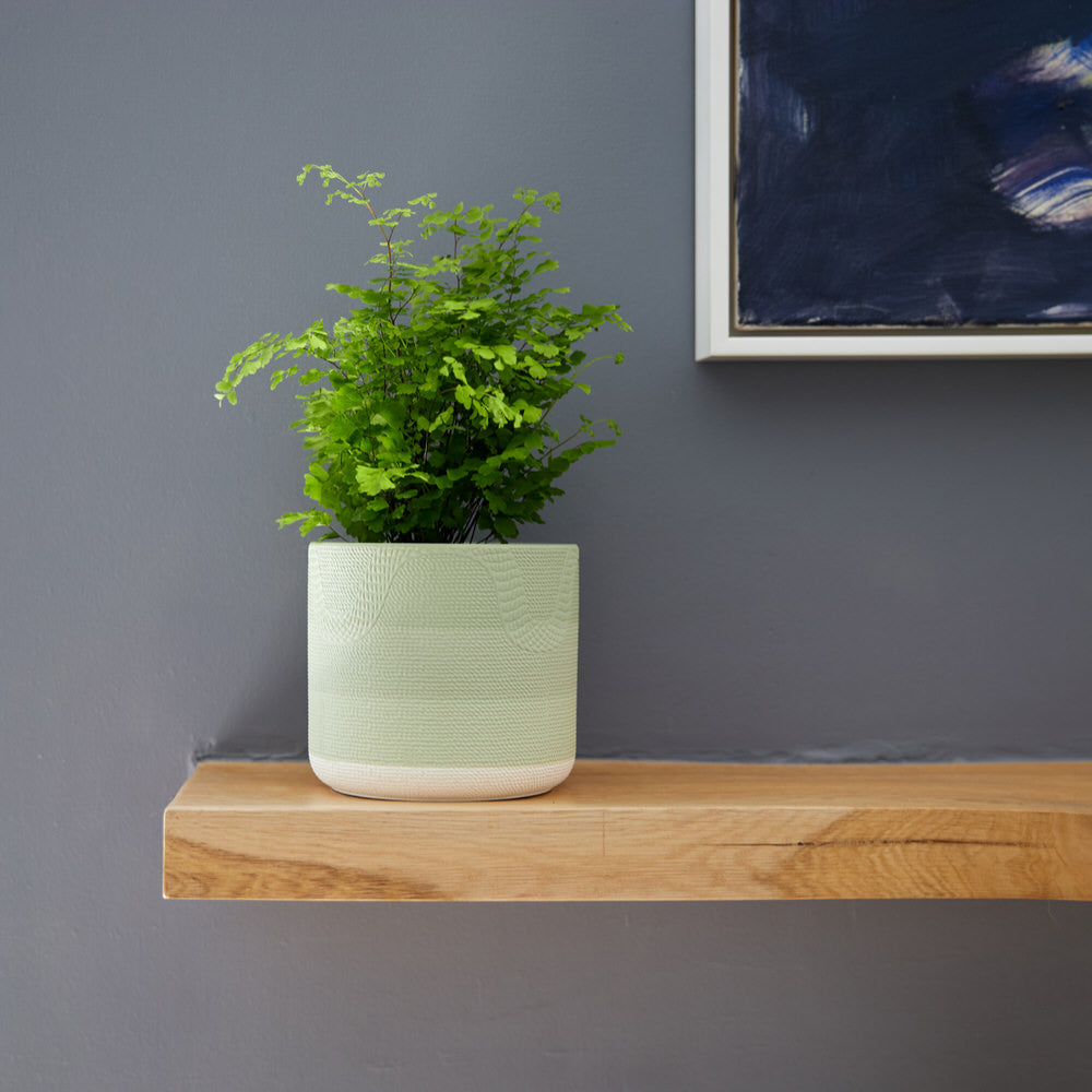 Moss Fade Pot Ø14x12cm