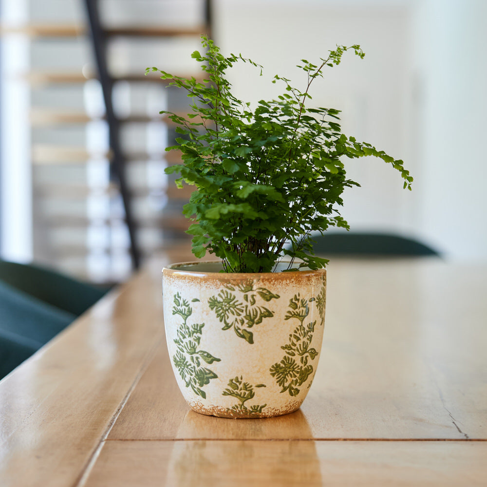 Tuscan Hills Pot Ø14x12cm