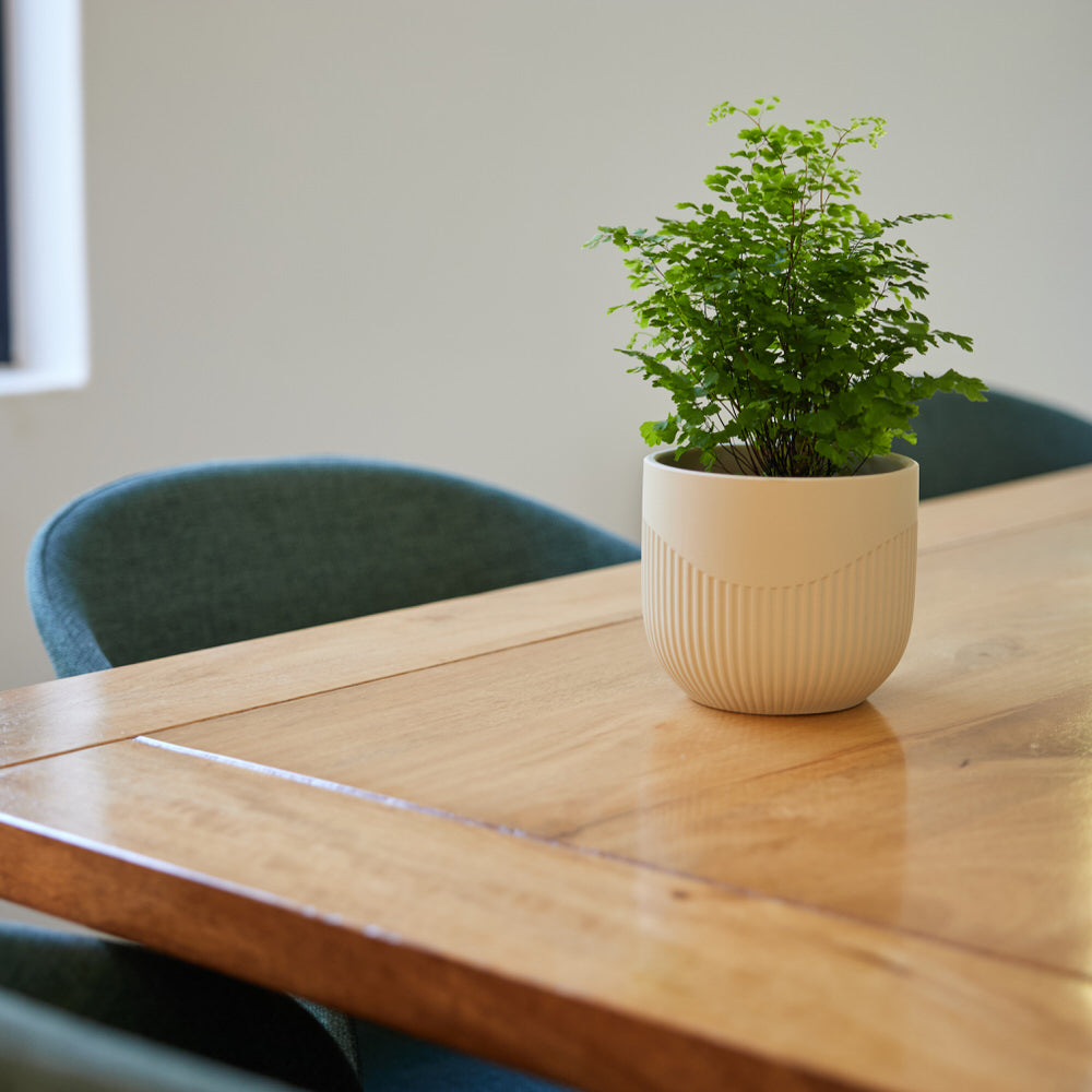 Sand Flute Pot Ø14x12cm