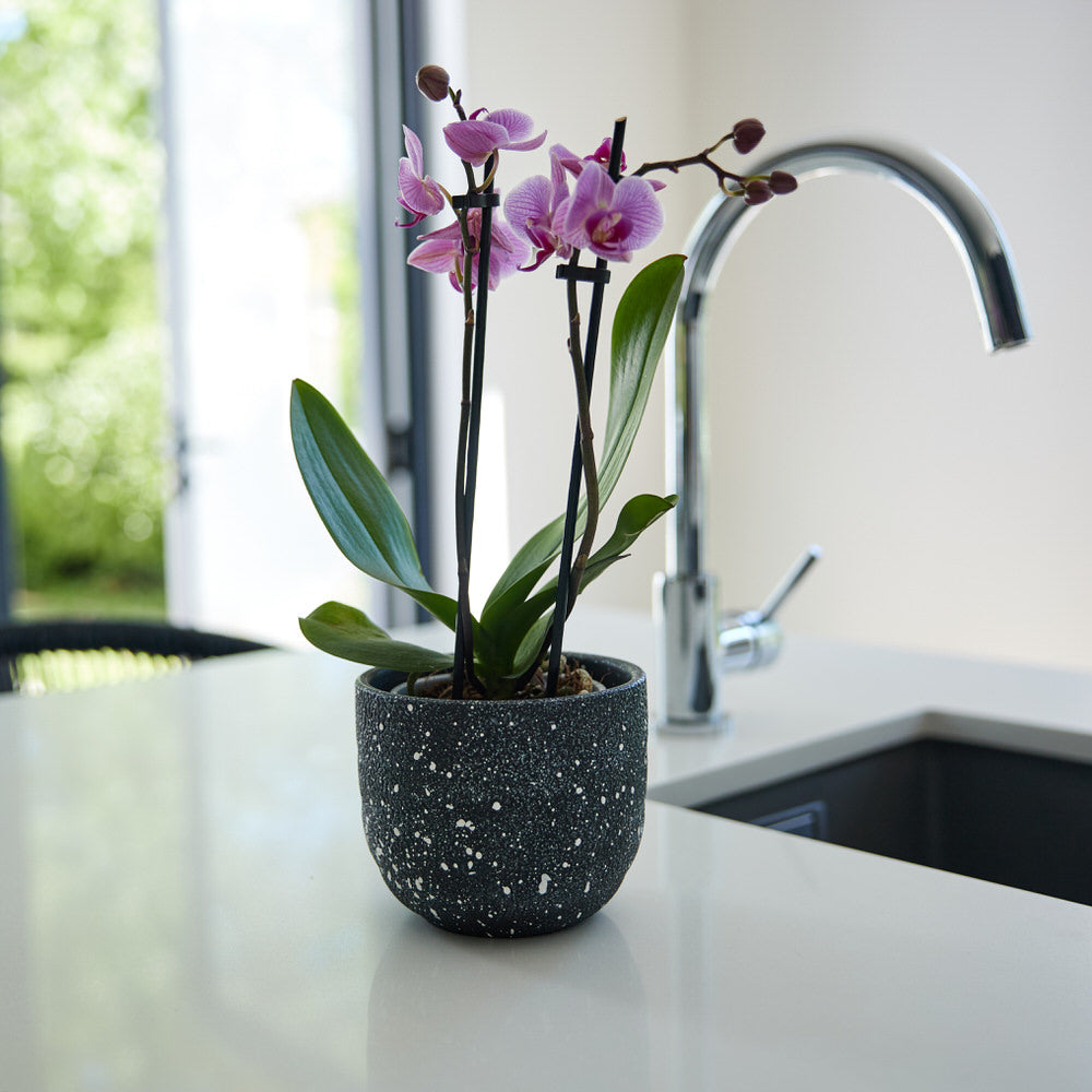 Skyfall Terrazzo Pot Ø12x10cm