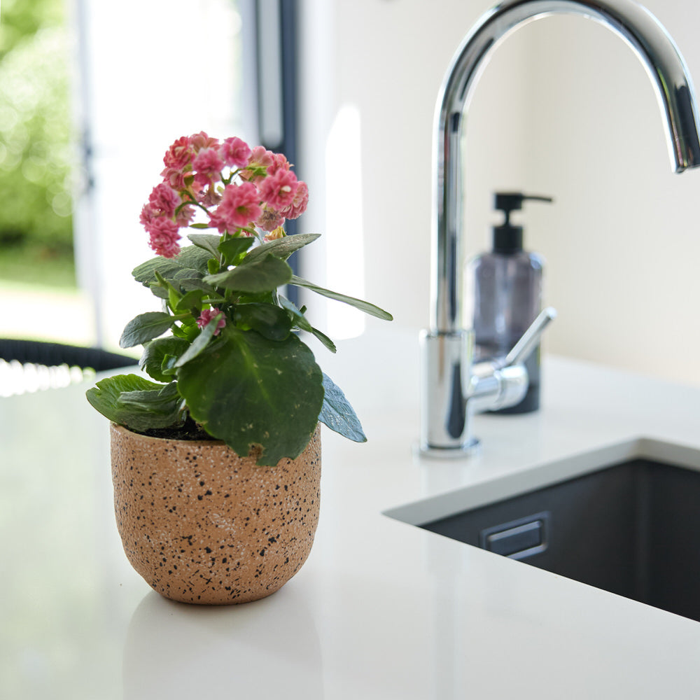 Sandstorm Terrazzo Pot Ø12x10cm