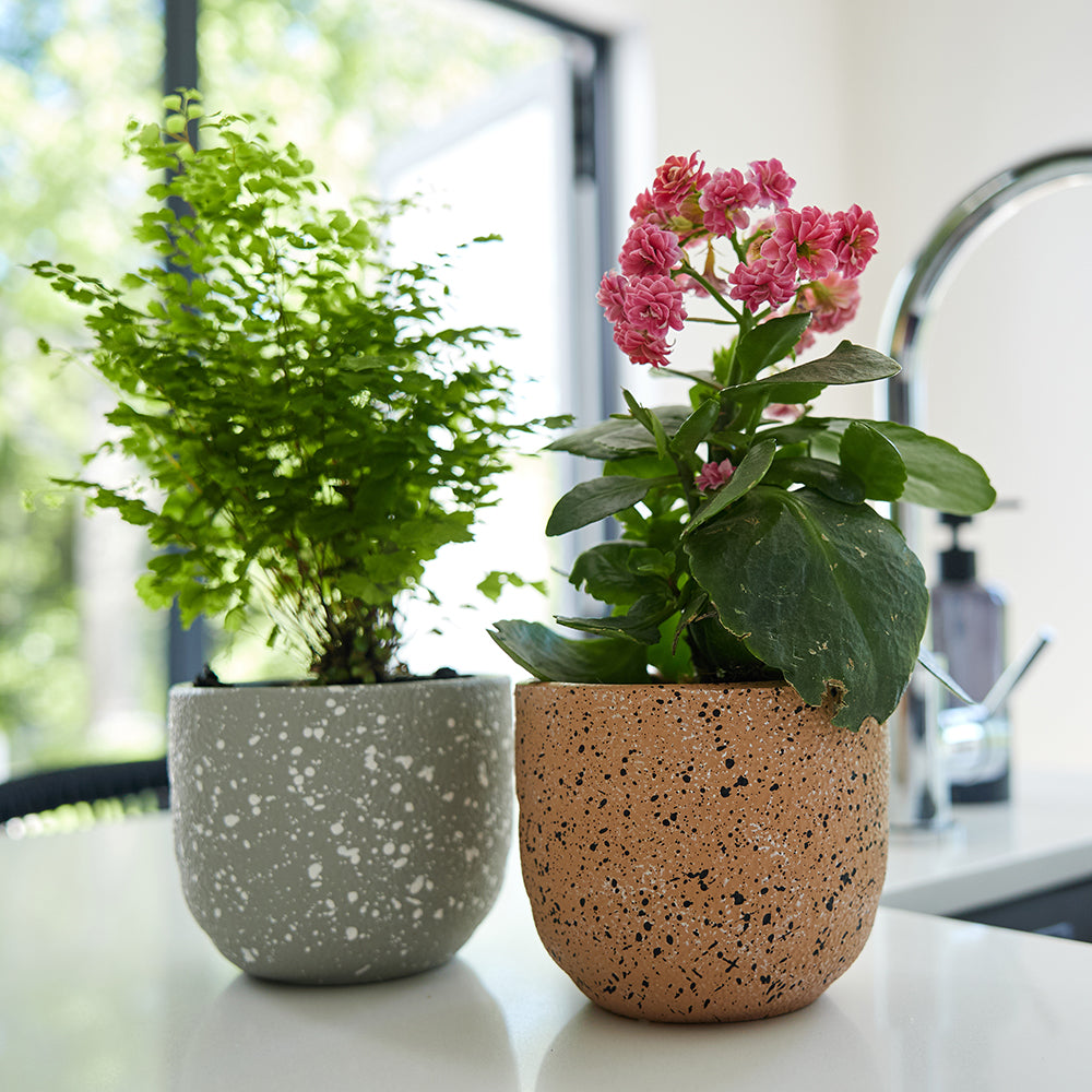 Cloudstone Terrazzo Pot Ø12x10cm