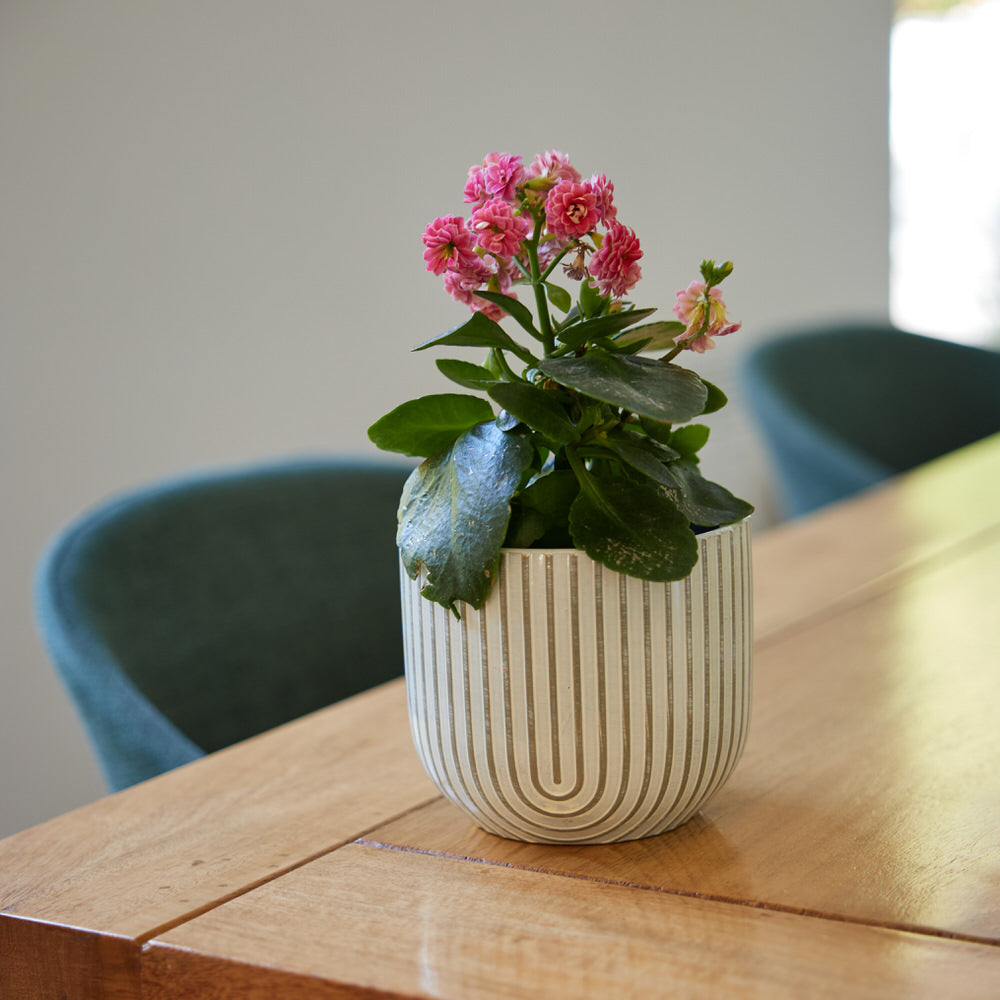 Mist Arc Pot Ø14x12cm