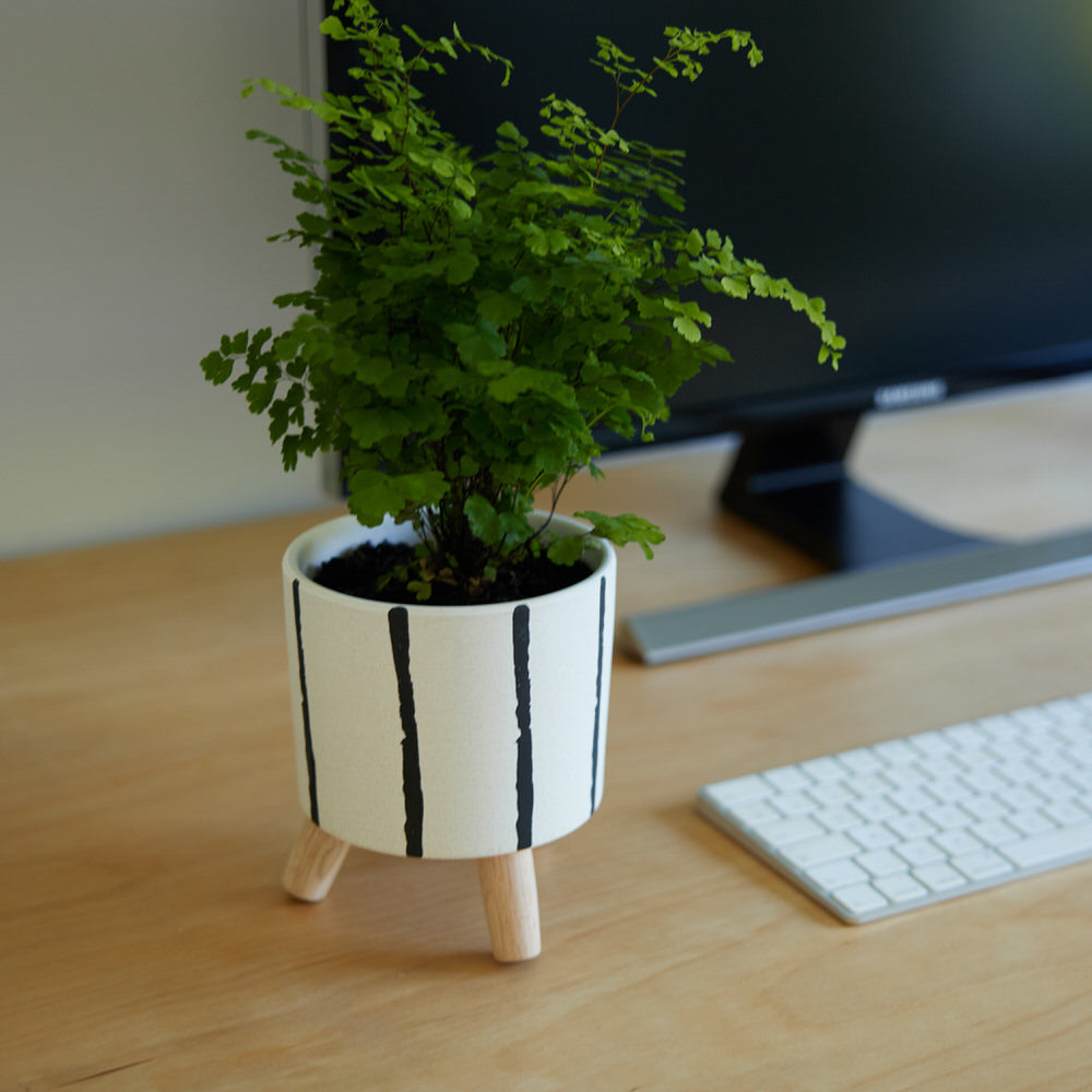 Ink Line Tripod Planter Ø12x14cm