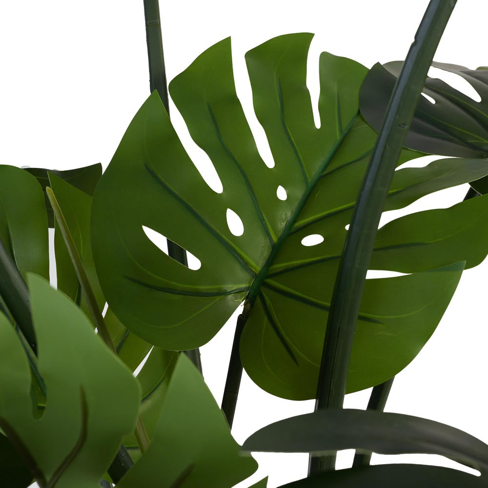 Monstera / Delicious Monster 120cm