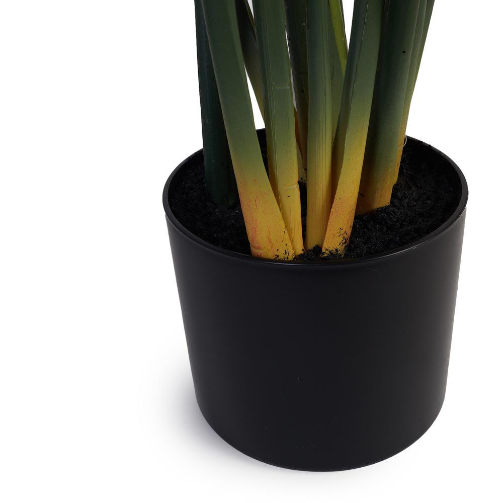 Monstera / Delicious Monster 120cm